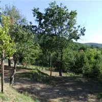 camping-lucherino-monticello-amiata-ufyq4