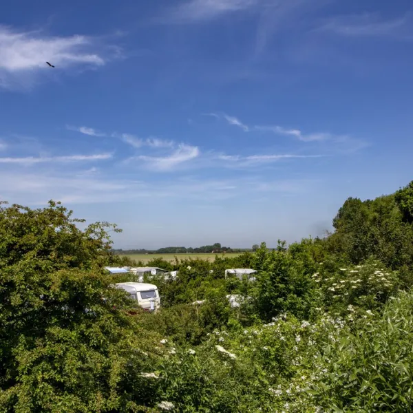 camping-wulpen-cadzand-pgwu1