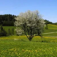 waldviertel-camping-familie-einfalt-gro-gerungs-fwipo