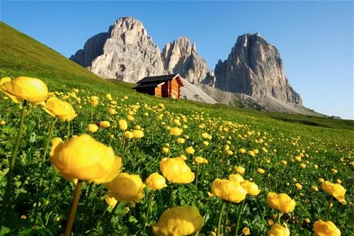 camping-vidor-pozza-di-fassa-8sowj