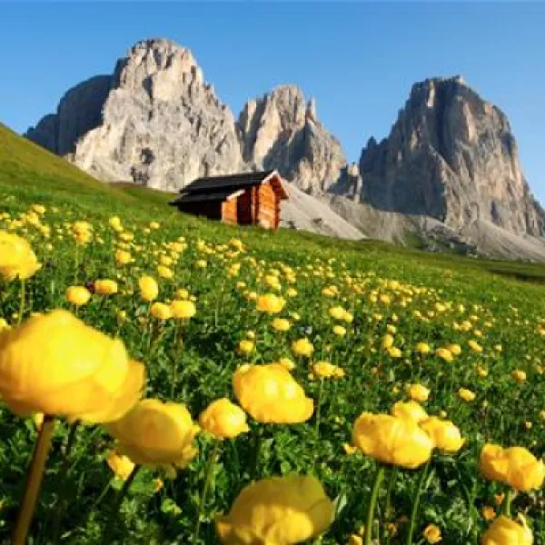 camping-vidor-pozza-di-fassa-8sowj