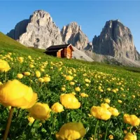 camping-vidor-pozza-di-fassa-8sowj