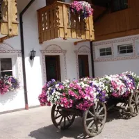 camping-vidor-pozza-di-fassa-ak6uz
