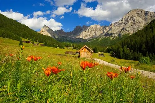 camping-vidor-pozza-di-fassa-dvwey