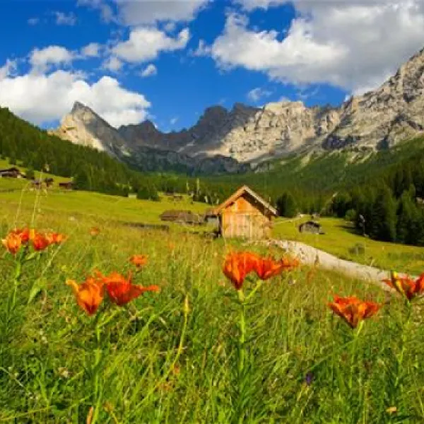 camping-vidor-pozza-di-fassa-dvwey