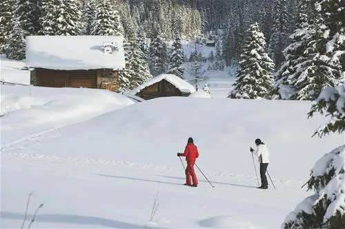 camping-vidor-pozza-di-fassa-trm02
