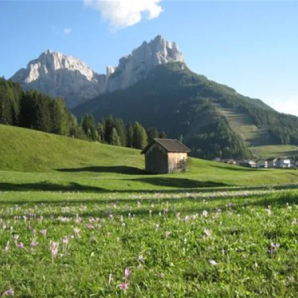 camping-vidor-pozza-di-fassa-y0ds2