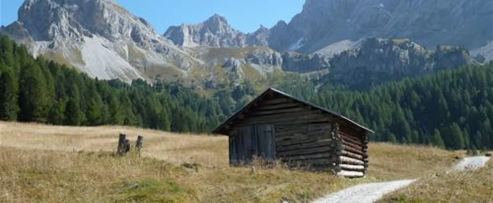 Camping Vidor