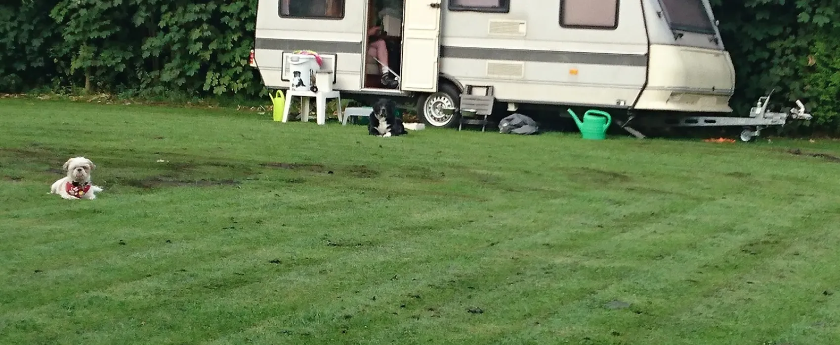 Camping Graswijk