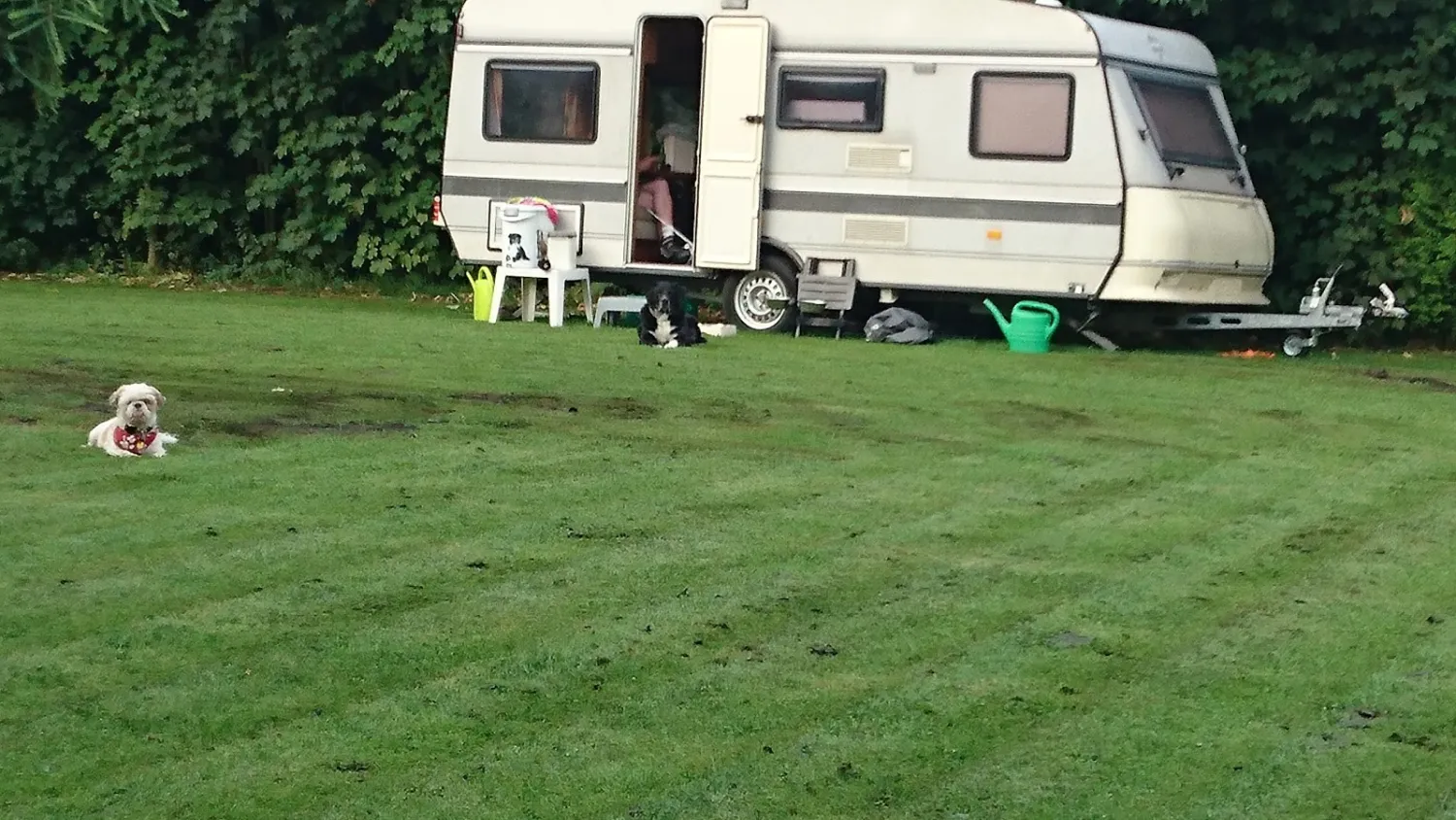camping-graswijk-assen-d8vtf