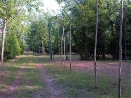 camping-dei-tigli-torre-del-lago-puccini-uoefs