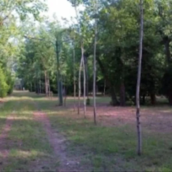 camping-dei-tigli-torre-del-lago-puccini-uoefs