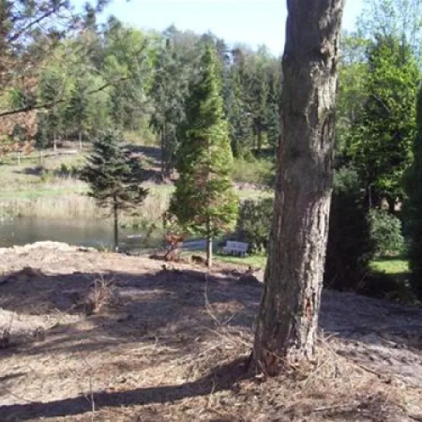 skamling-camping-bjert-jllqh