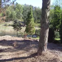 skamling-camping-bjert-jllqh