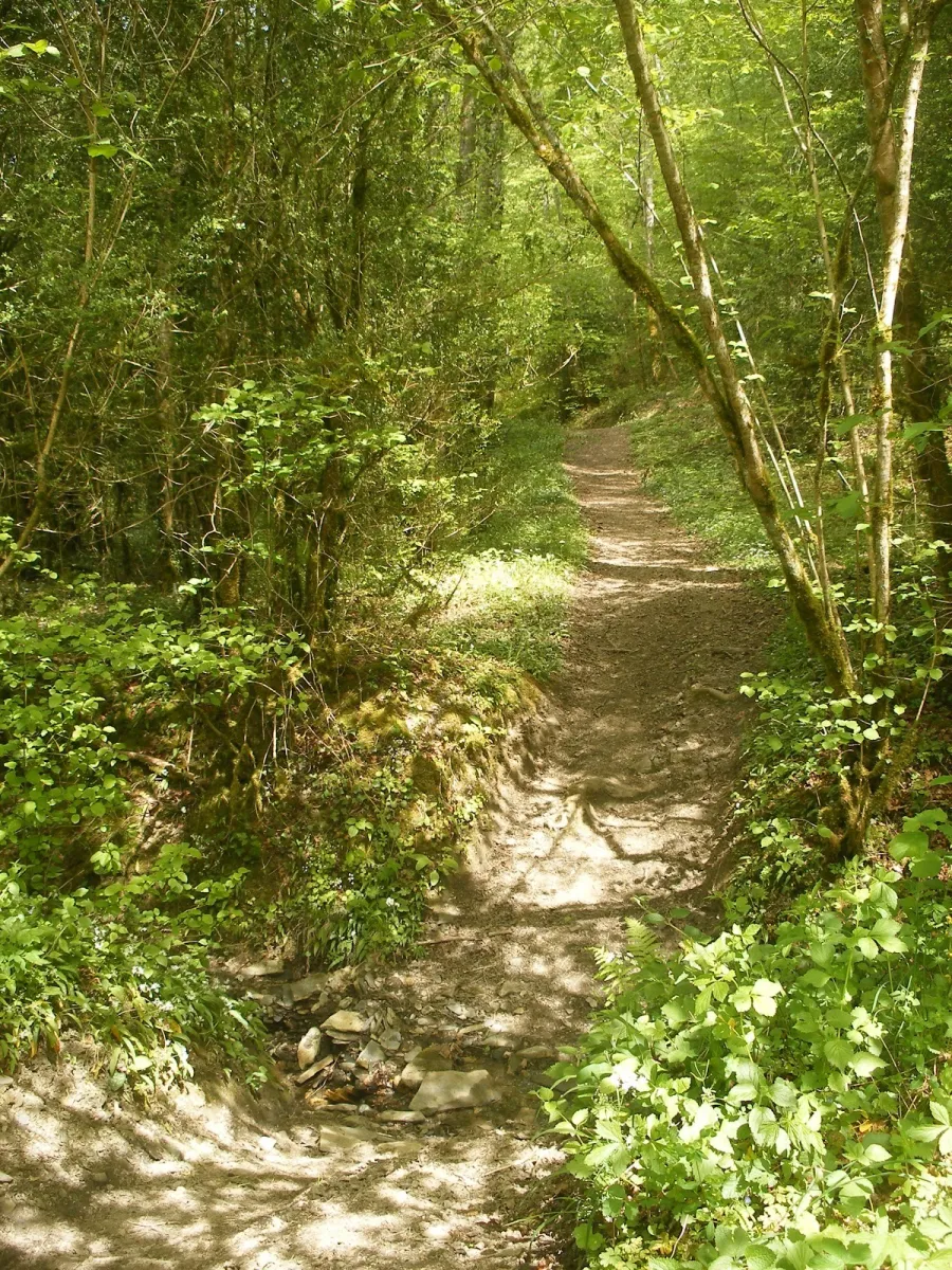 camping-aire-naturelle-moulin-des-baronnies-sarlabous-eolfa