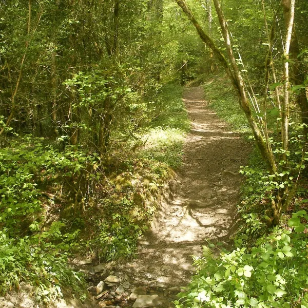 camping-aire-naturelle-moulin-des-baronnies-sarlabous-eolfa