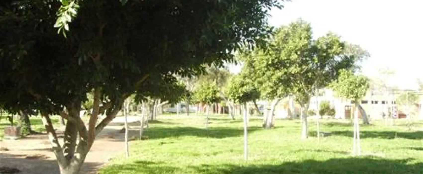 Camping Faro De Trafalgar