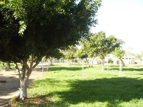 camping-faro-de-trafalgar-caos-de-meca-b4lu9
