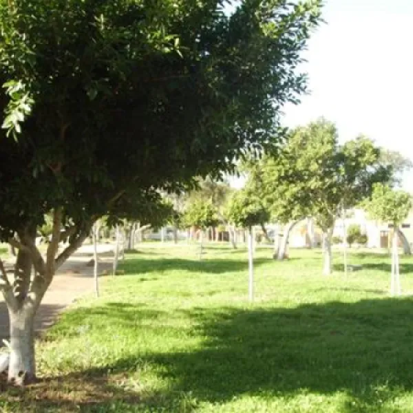 camping-faro-de-trafalgar-caos-de-meca-b4lu9