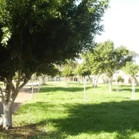 camping-faro-de-trafalgar-caos-de-meca-b4lu9