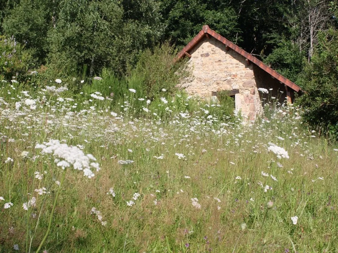 camping-naturiste-les-saules-sussac-1jkog