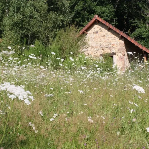 camping-naturiste-les-saules-sussac-1jkog