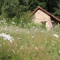camping-naturiste-les-saules-sussac-1jkog
