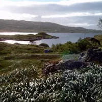 Lickisto Blackhouse Camping