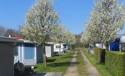 camping-welgelegen-cadzand-fsz3x