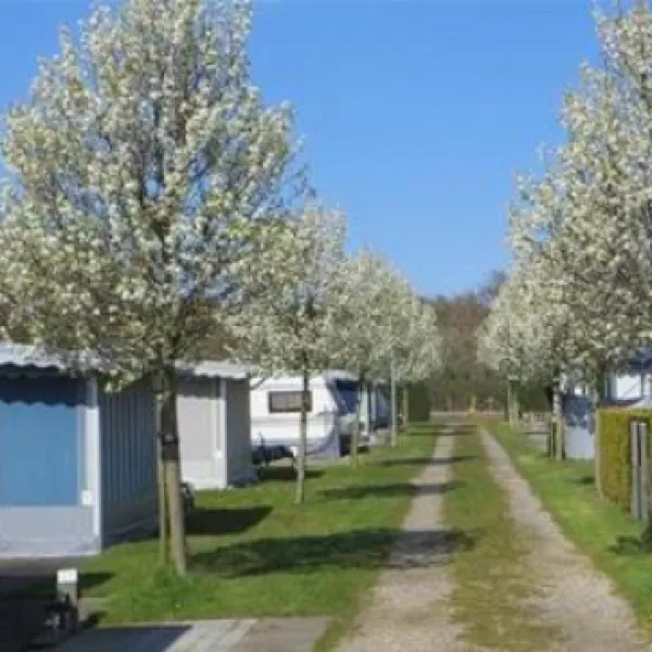 camping-welgelegen-cadzand-fsz3x