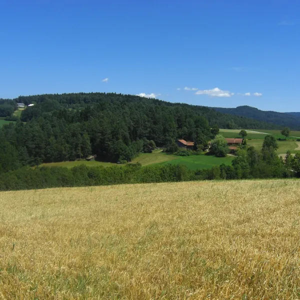 camping-hastreiter-krailing-bei-prackenbach-cymuf