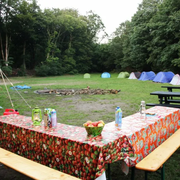 natuurkampeerterrein-schoonenberg-velsen-zuid-ugozu