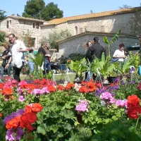 camping-les-dunes-torreilles-beoej