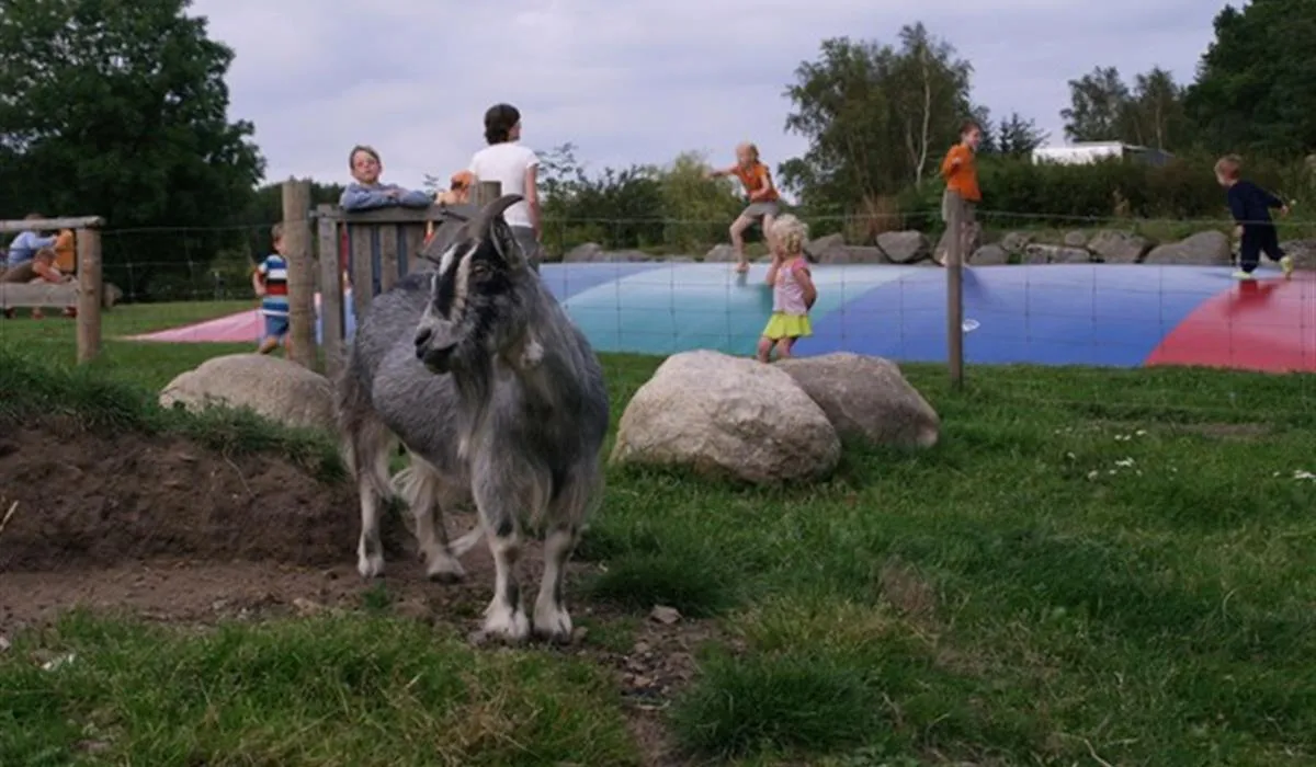 faaborg-camping-faaborg-ncdym