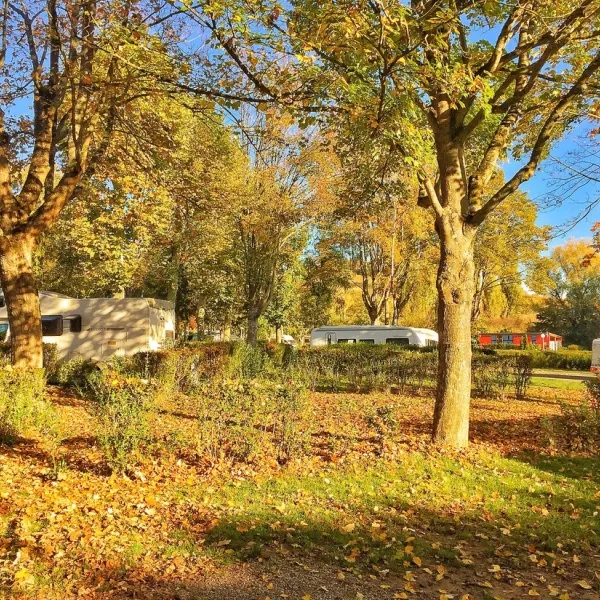 camping-de-riquewihr-riquewihr-8nni2
