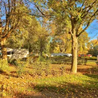 camping-de-riquewihr-riquewihr-8nni2