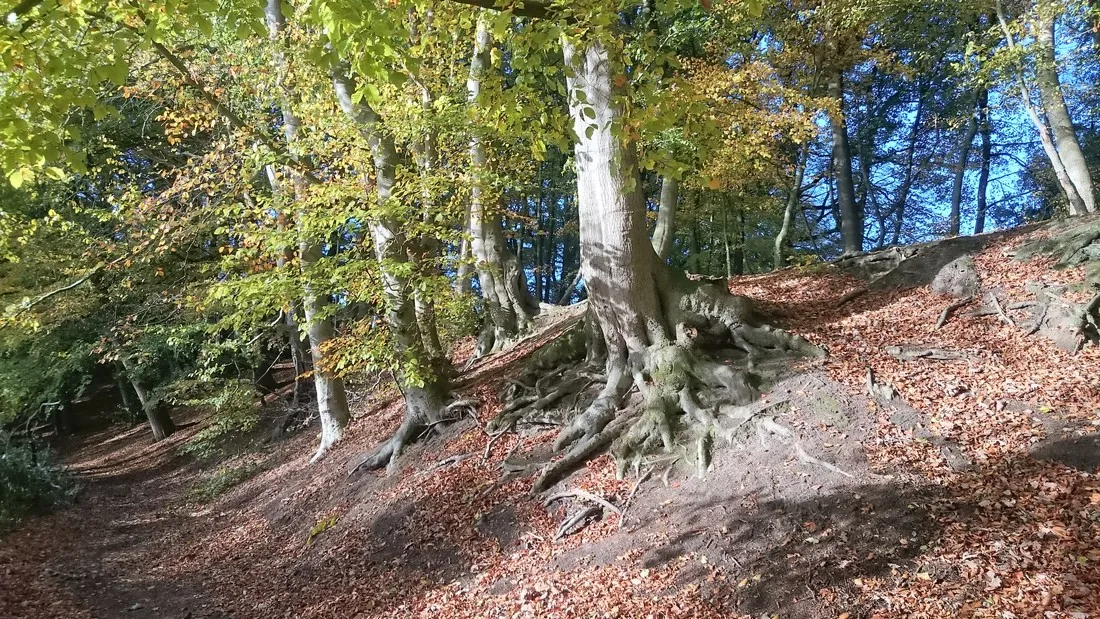 seecamping-weisser-brunnen-wittenborn-rpmhv