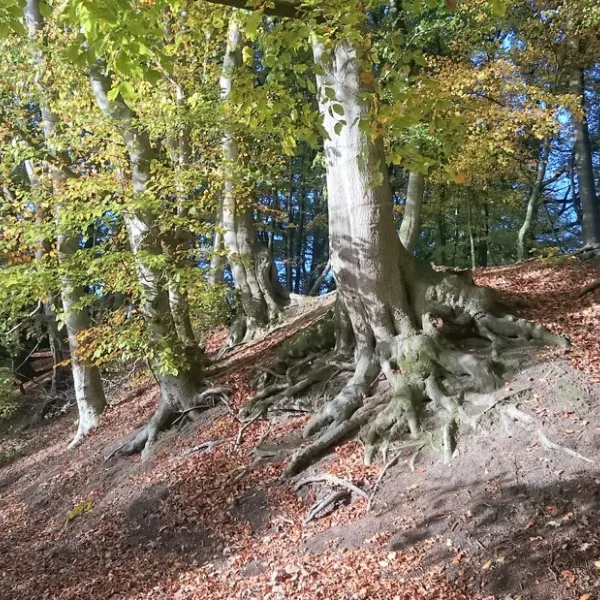 seecamping-weisser-brunnen-wittenborn-rpmhv