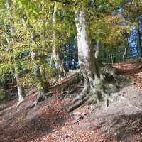 seecamping-weisser-brunnen-wittenborn-rpmhv