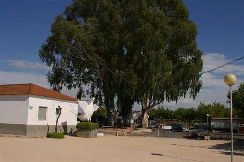 camping-carlos-iii-la-carlota-5qbp5