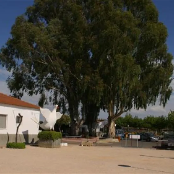 camping-carlos-iii-la-carlota-5qbp5