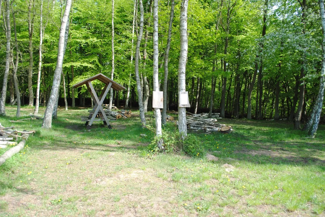 strtebekercamp-lietzow-kyaps