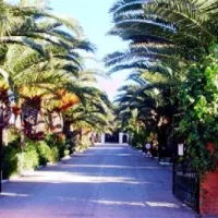 camping-malvarrosa-de-corinto-saguntsagunto-6pnbj