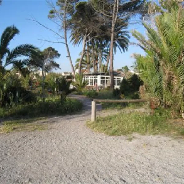 camping-malvarrosa-de-corinto-saguntsagunto-8213e