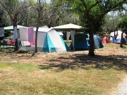 camping-malvarrosa-de-corinto-saguntsagunto-9cfki