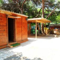 camping-malvarrosa-de-corinto-saguntsagunto-nzjdy
