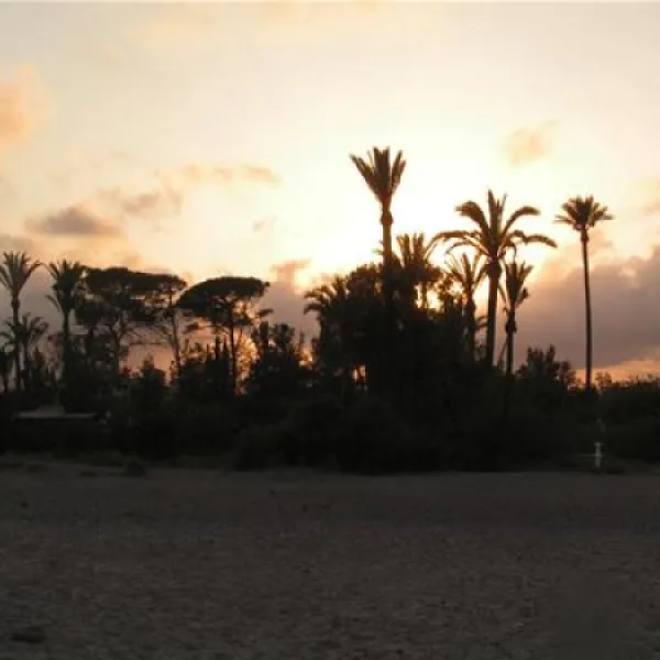 Camping Malvarrosa de Corinto
