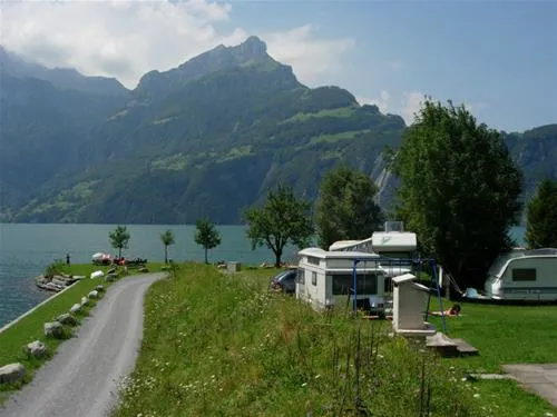 camping-bucheli-sisikon-yfpqd
