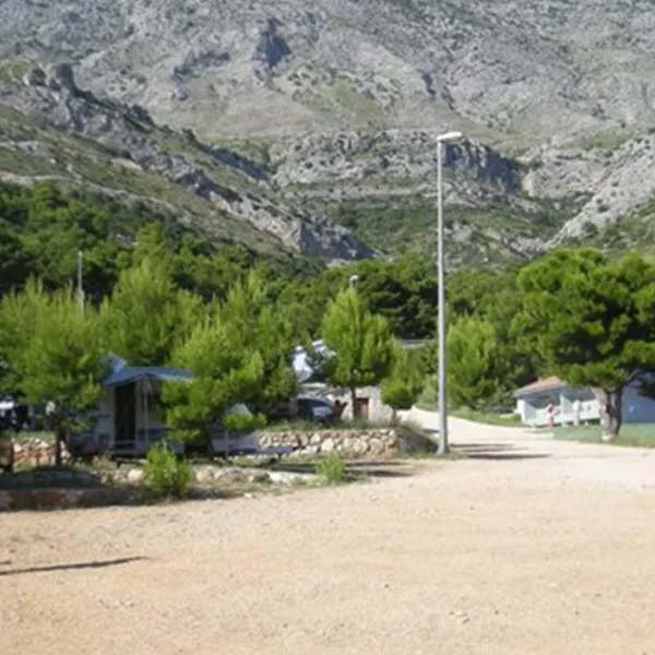camp-male-ciste-drevnik-ov7ou