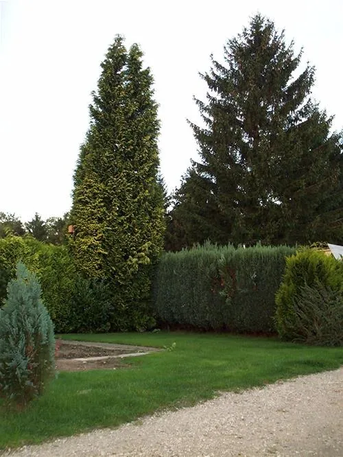 camping-holzmichel-straelen-2z0a5